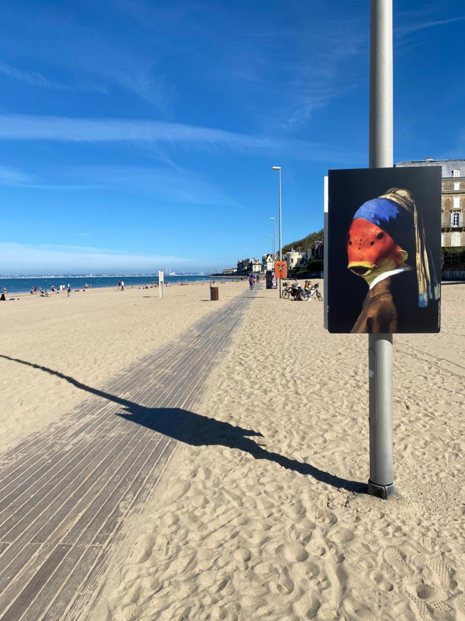 Magnifique Appartement de charme à Trouville sur Mer Extérieur photo